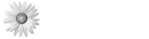 implenia_logo_white