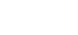 logo_qbits_white